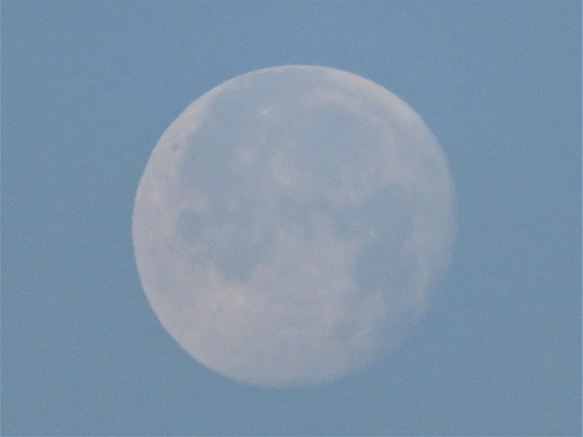 f:id:grk1:20191214083244j:plain f:id:grk1:20191214083244j:plain