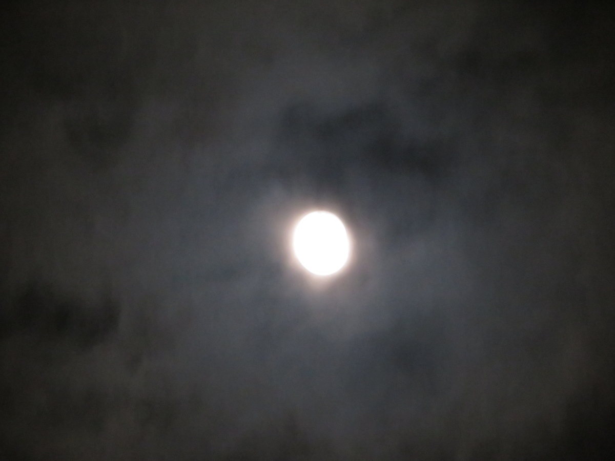 f:id:grk1:20200114173253j:plain f:id:grk1:20200114173253j:plain