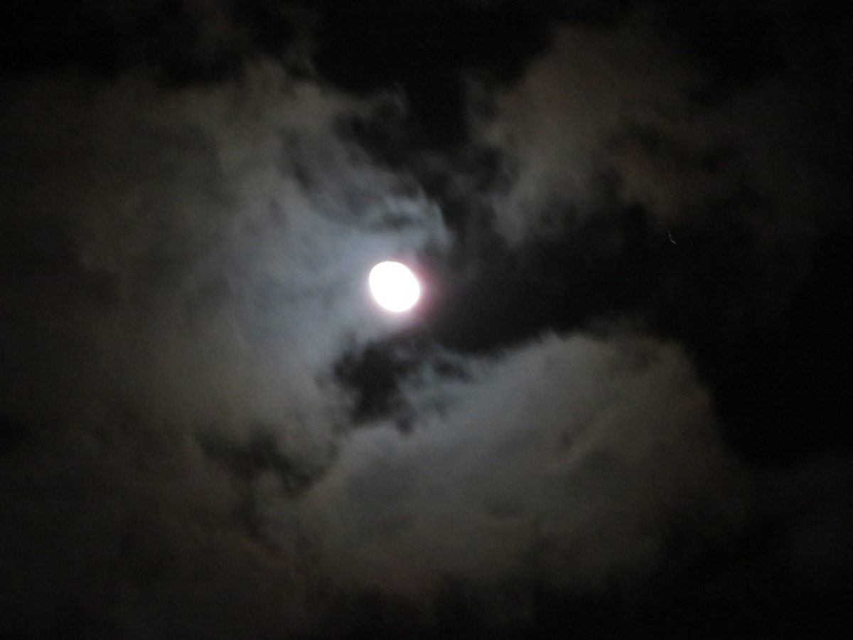 f:id:grk1:20200114174017j:plain f:id:grk1:20200114174017j:plain