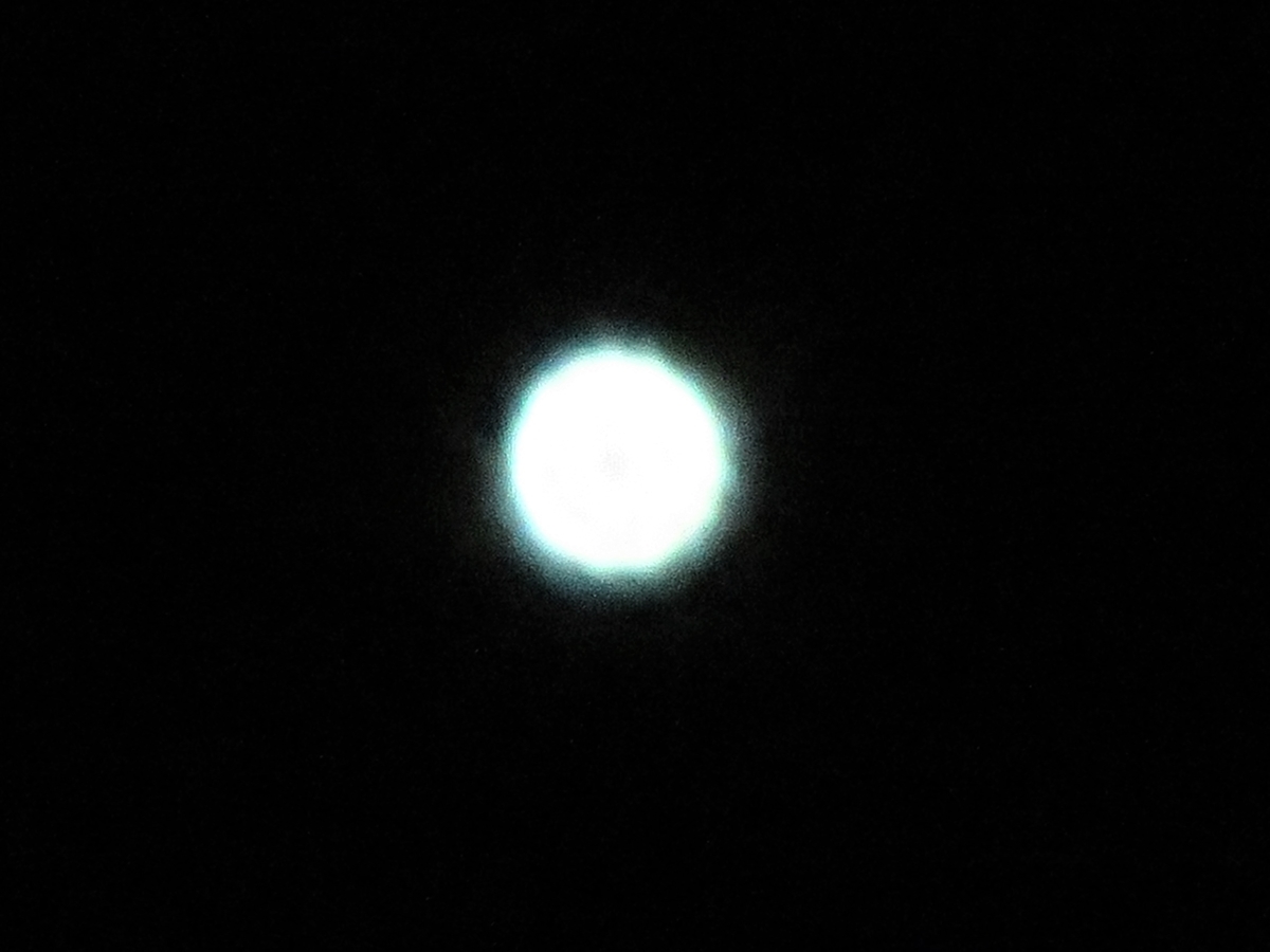 f:id:grk1:20200129204231j:plain