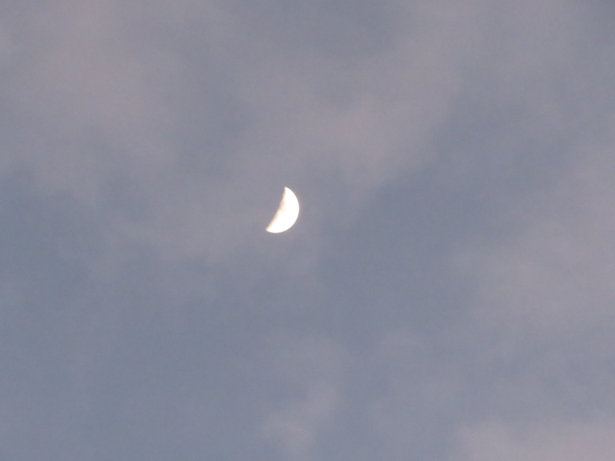 f:id:grk1:20200201202627j:plain f:id:grk1:20200201202627j:plain