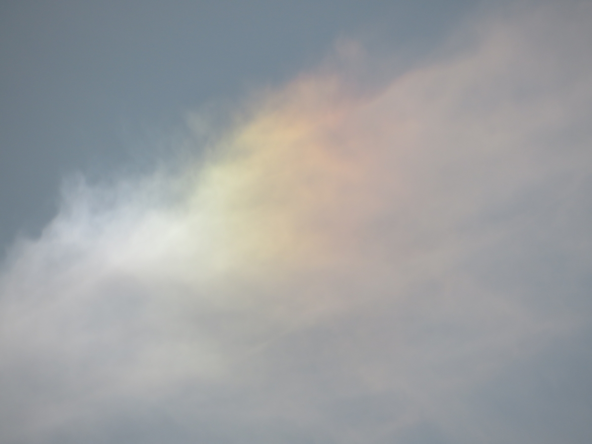 f:id:grk1:20200205202100j:plain f:id:grk1:20200205202100j:plain