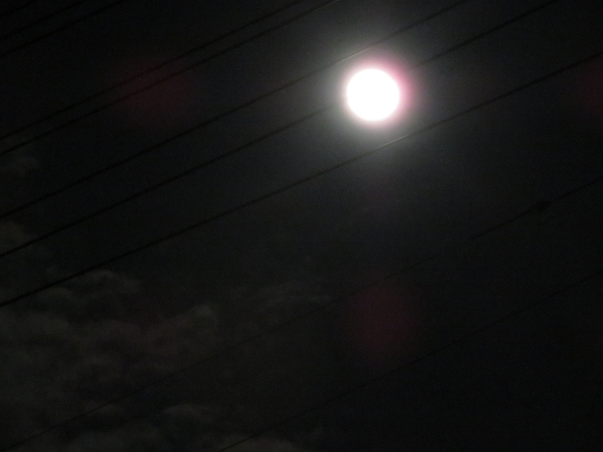 f:id:grk1:20200209194505j:plain