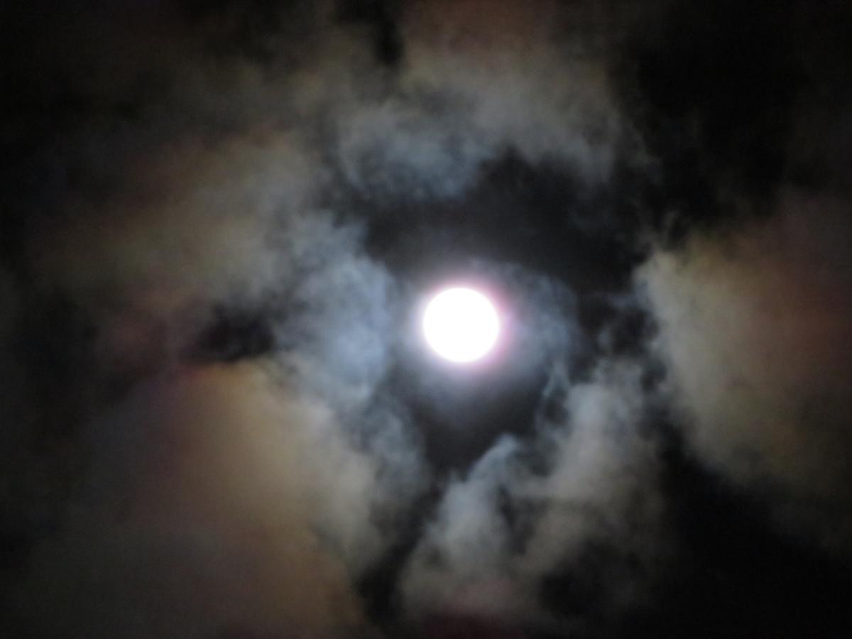 f:id:grk1:20200210171007j:plain f:id:grk1:20200210171007j:plain