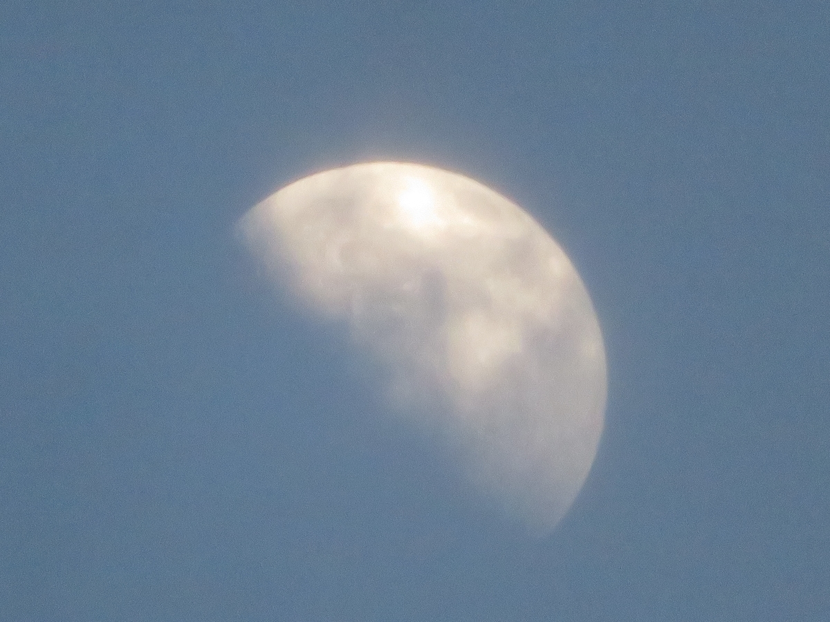 f:id:grk1:20200303180919j:plain f:id:grk1:20200303180919j:plain