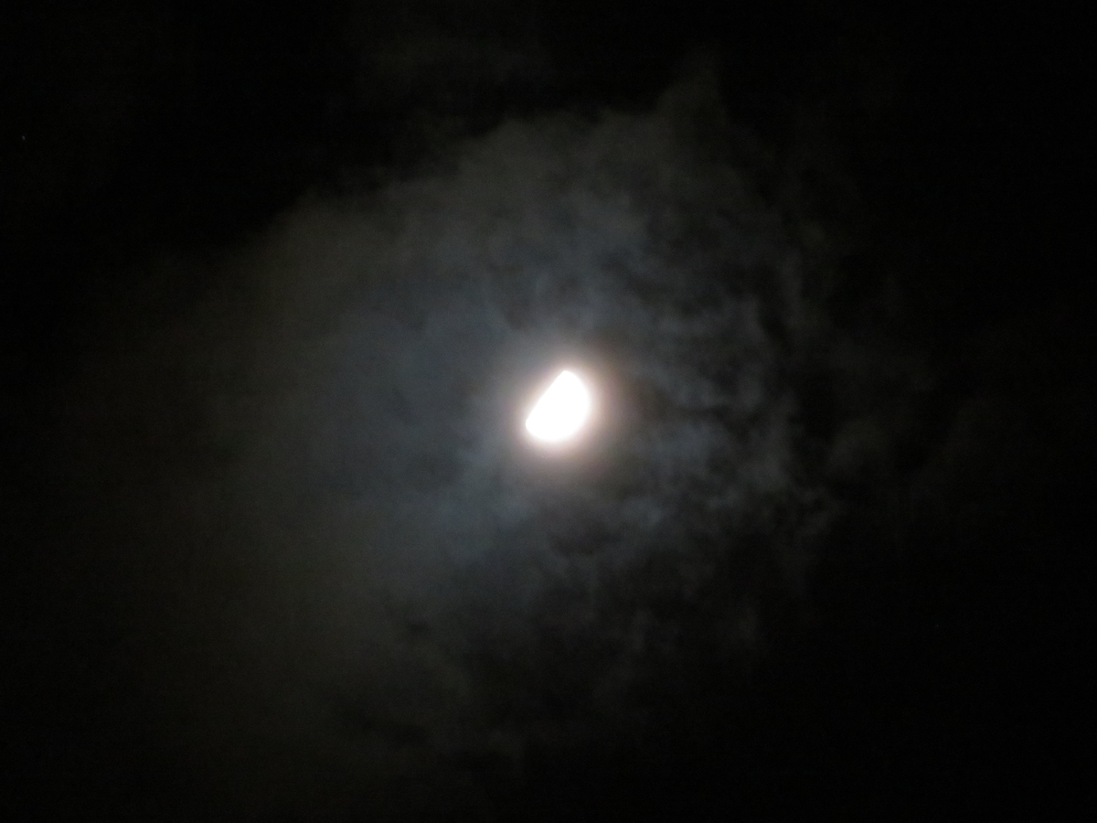 f:id:grk1:20200303203426j:plain f:id:grk1:20200303203426j:plain