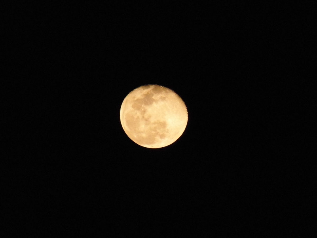 f:id:grk1:20200311205251j:plain f:id:grk1:20200311205251j:plain