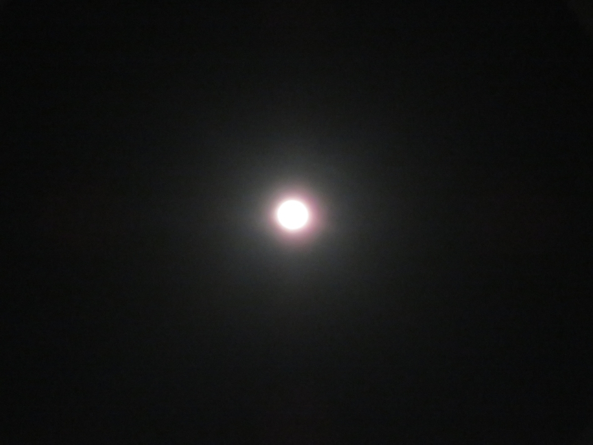 f:id:grk1:20200407223427j:plain f:id:grk1:20200407223427j:plain