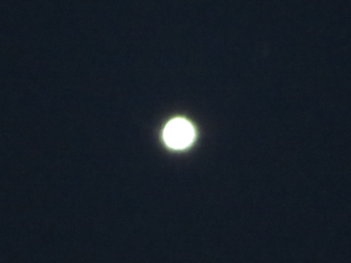 f:id:grk1:20200409151904j:plain f:id:grk1:20200409151904j:plain
