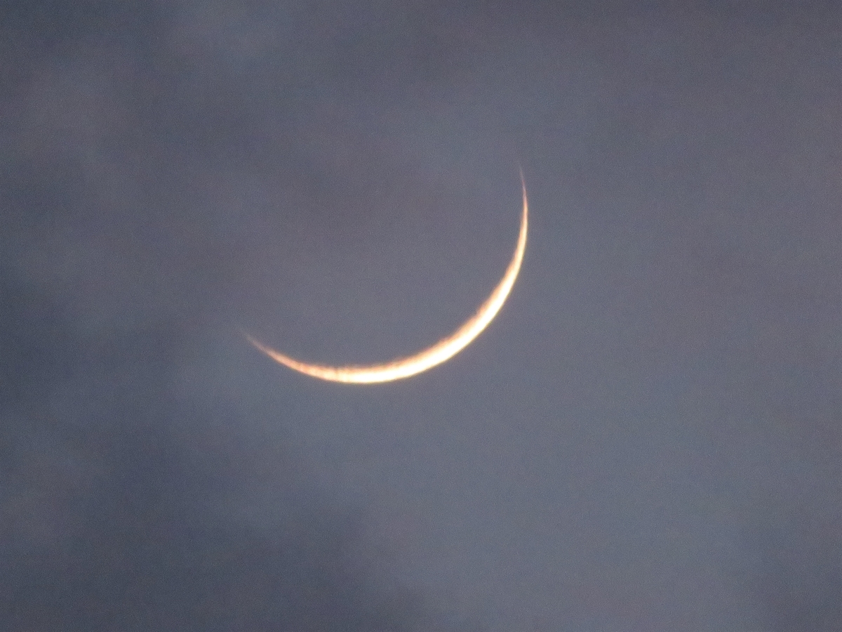 f:id:grk1:20200426111449j:plain