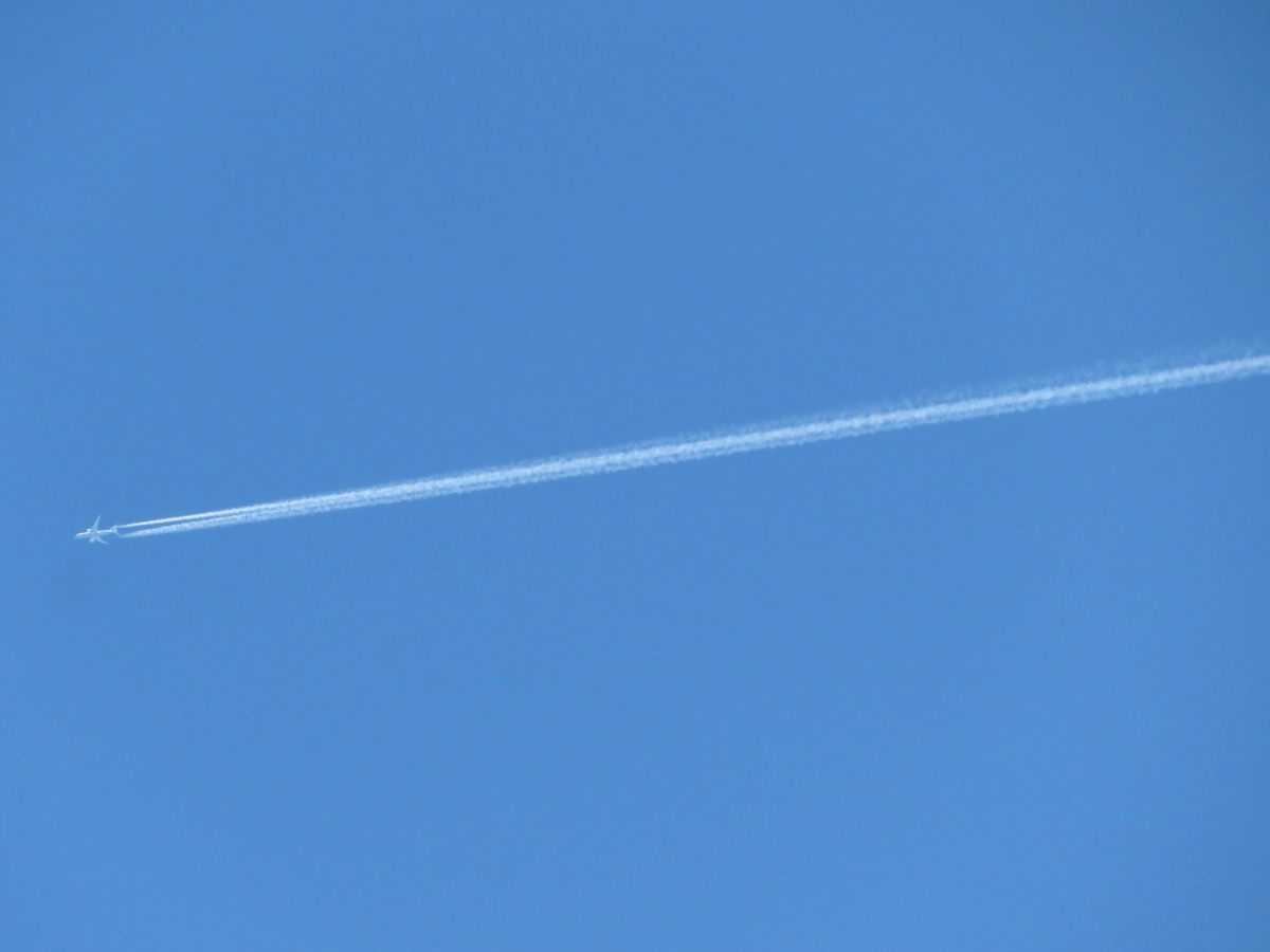 f:id:grk1:20200514151758j:plain f:id:grk1:20200514151758j:plain