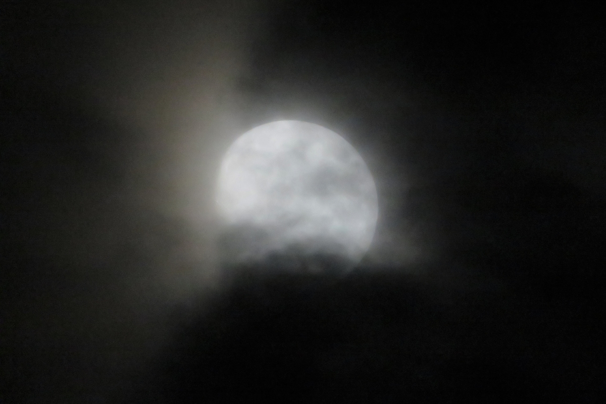 f:id:grk1:20200702215516j:plain f:id:grk1:20200702215516j:plain