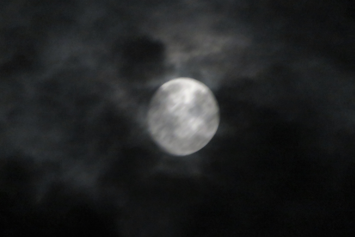 f:id:grk1:20200802171859j:plain f:id:grk1:20200802171859j:plain