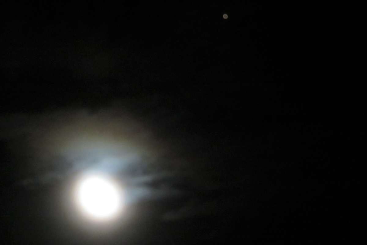 f:id:grk1:20200810204213j:plain f:id:grk1:20200810204213j:plain