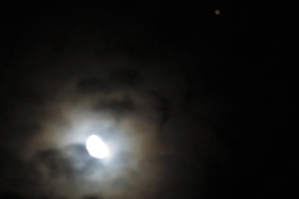 f:id:grk1:20200810204246j:plain f:id:grk1:20200810204246j:plain