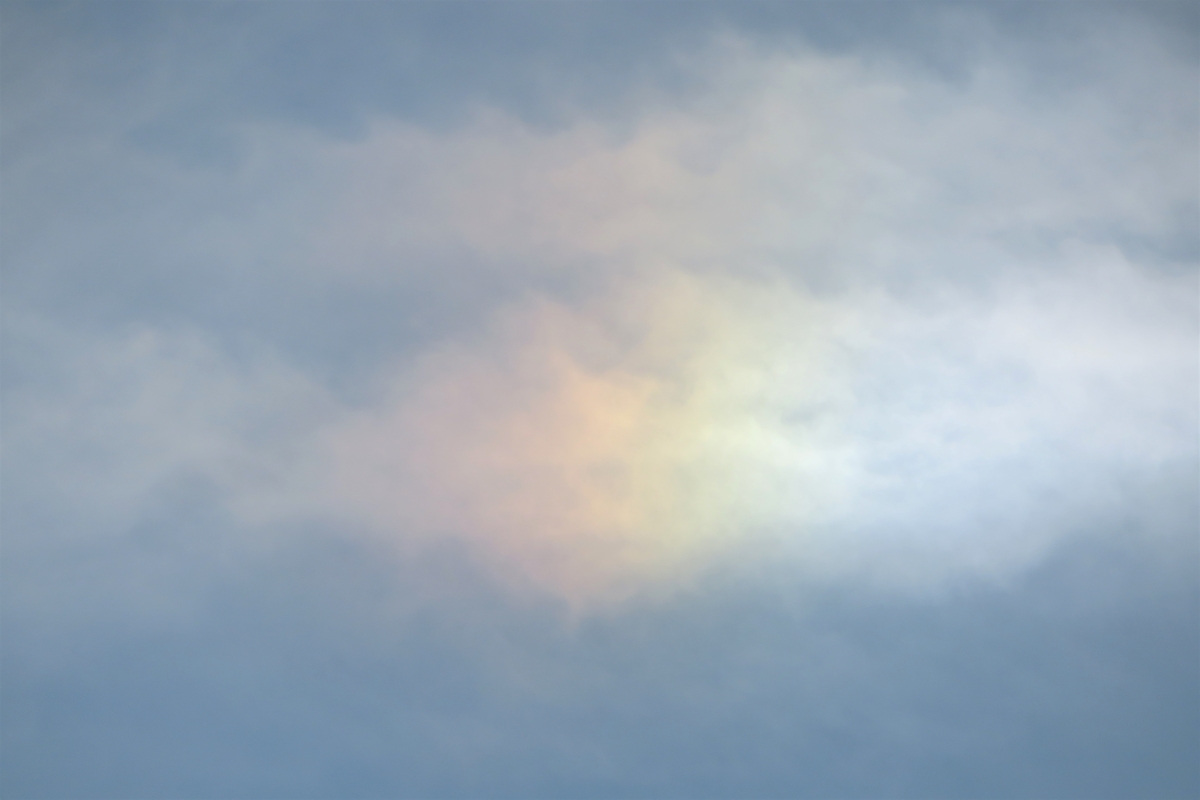 f:id:grk1:20200821124217j:plain f:id:grk1:20200821124217j:plain
