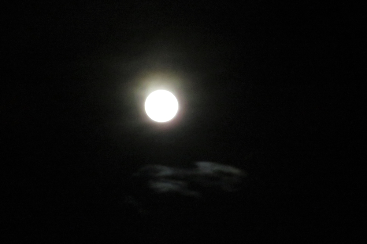 f:id:grk1:20200903085739j:plain