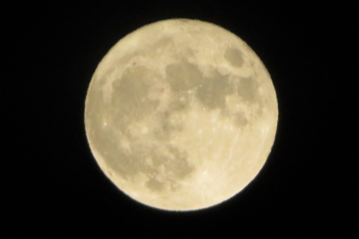 f:id:grk1:20200903085819j:plain