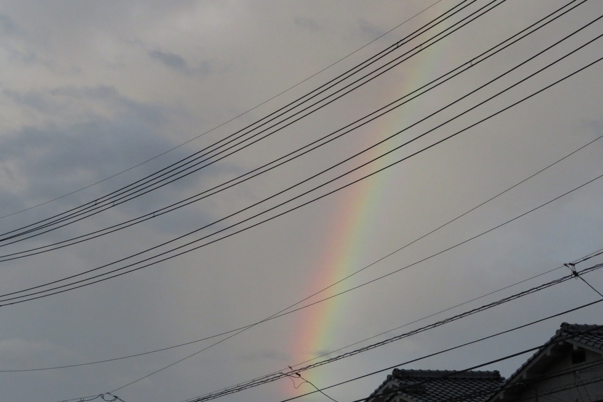 f:id:grk1:20200903100927j:plain