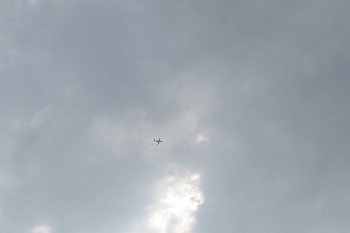 f:id:grk1:20200911075203j:plain f:id:grk1:20200911075203j:plain