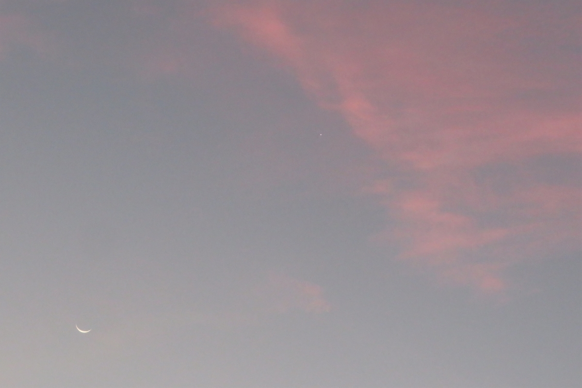 f:id:grk1:20200915084256j:plain f:id:grk1:20200915084256j:plain