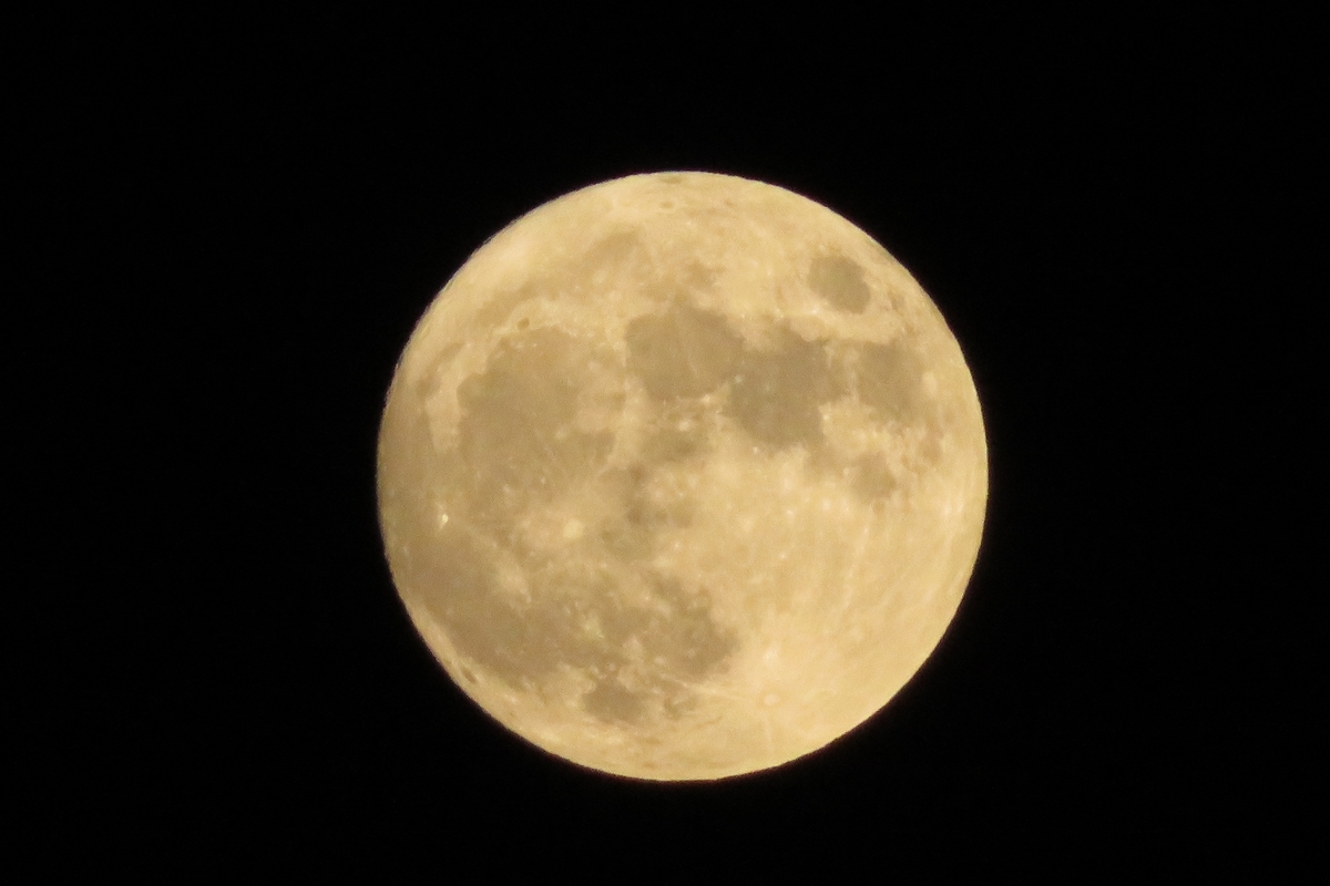f:id:grk1:20201001221022j:plain