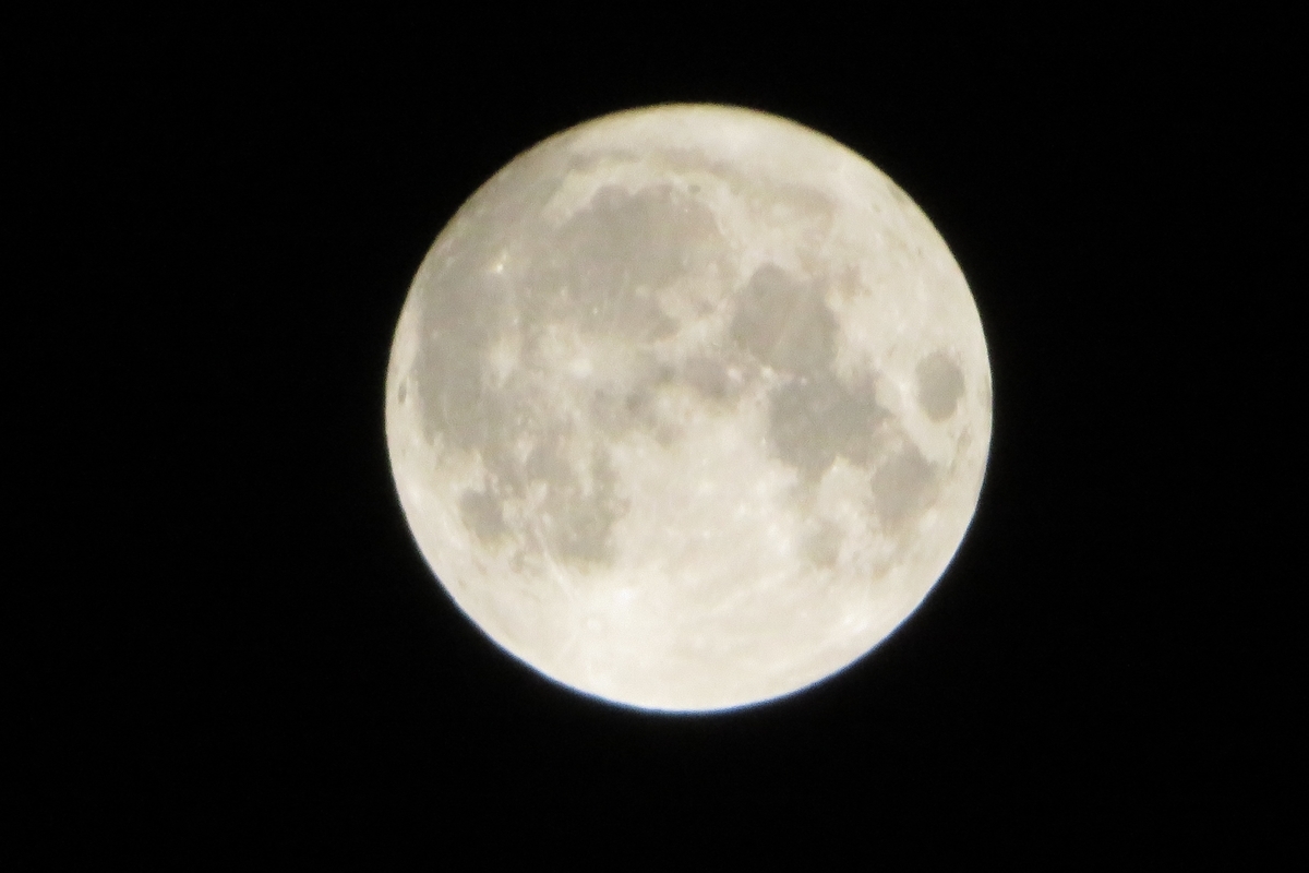 f:id:grk1:20201002062331j:plain