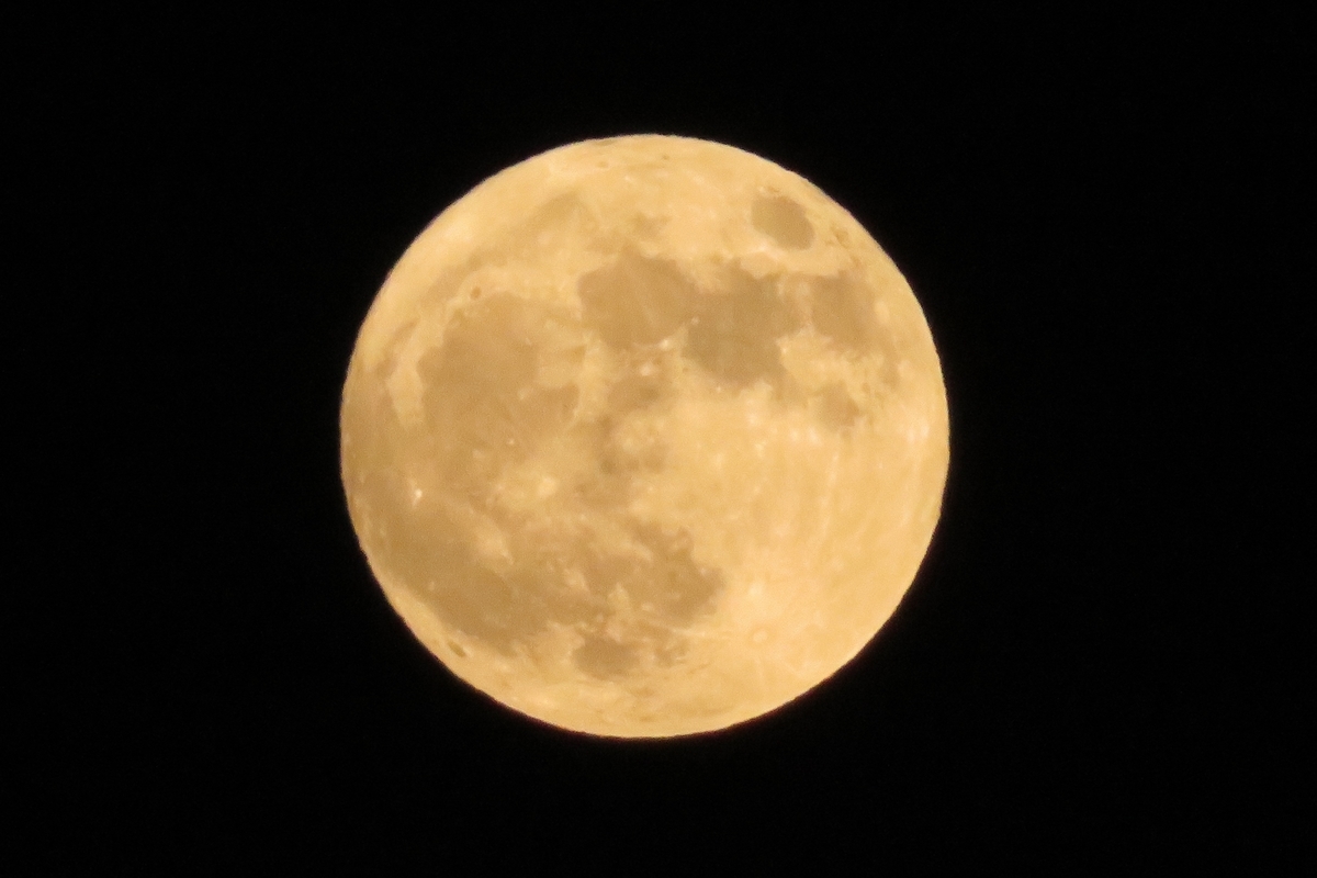f:id:grk1:20201031182402j:plain