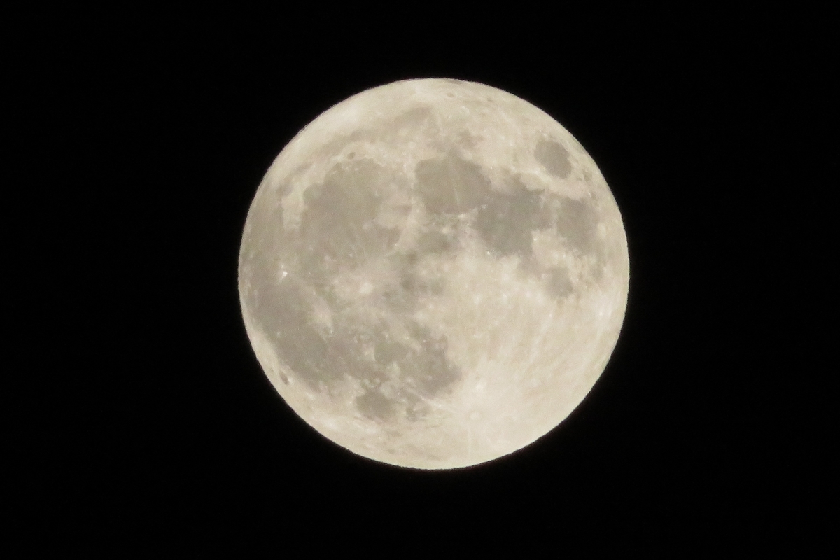 f:id:grk1:20201101164315j:plain f:id:grk1:20201101164315j:plain