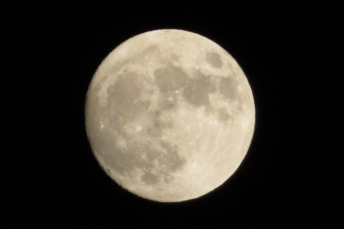 f:id:grk1:20201101164357j:plain f:id:grk1:20201101164357j:plain