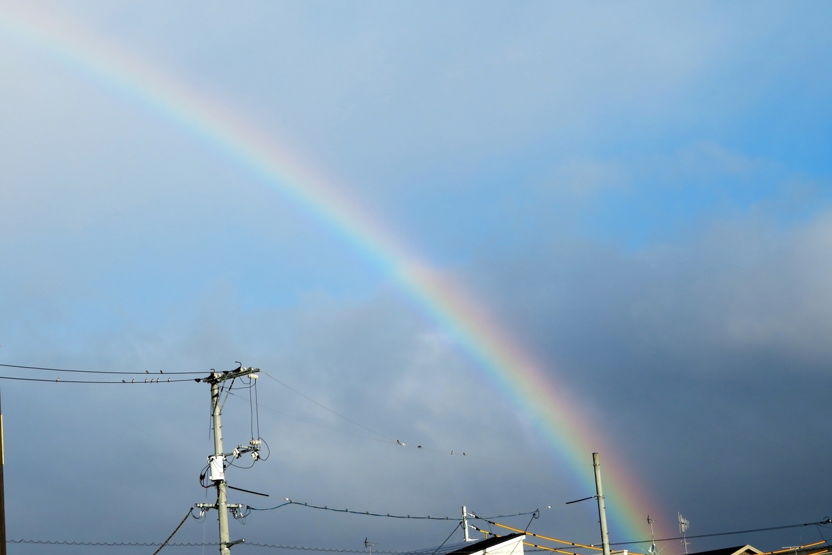 f:id:grk1:20201128140957j:plain
