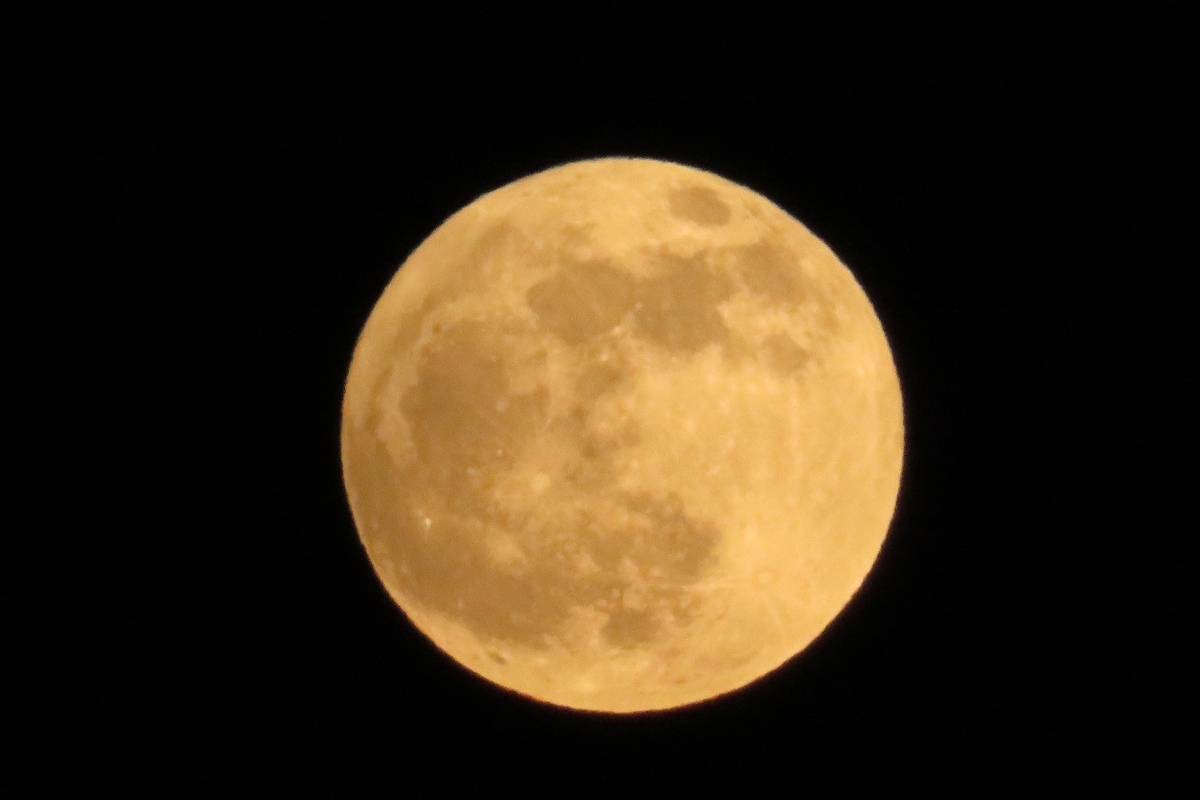 f:id:grk1:20201130193058j:plain