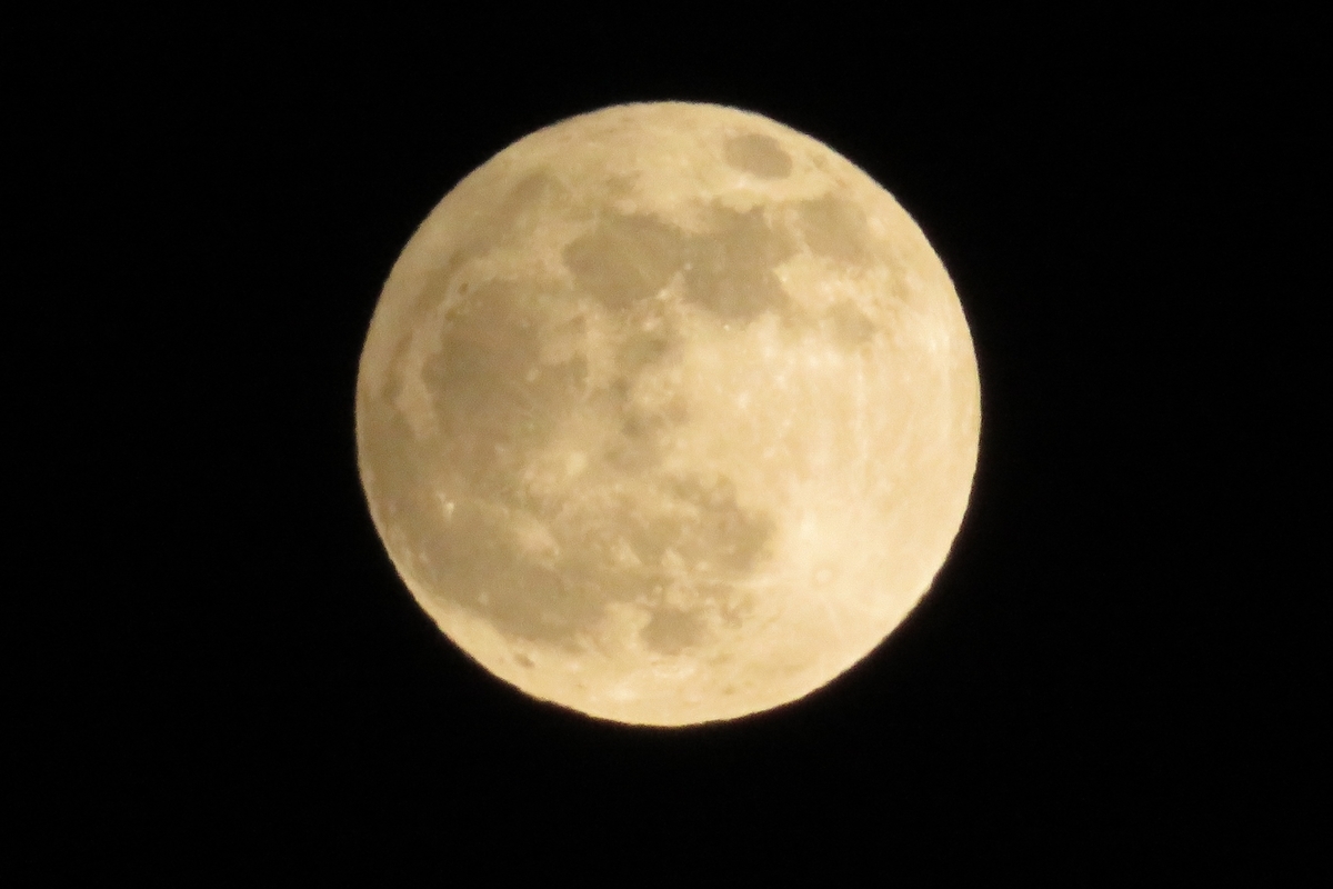 f:id:grk1:20201130193136j:plain