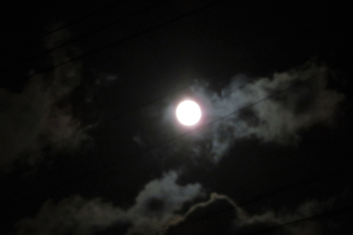 f:id:grk1:20201231115815j:plain