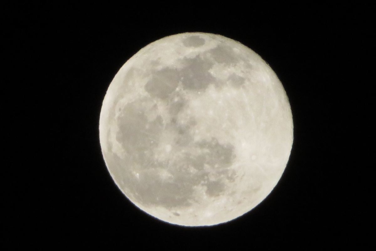 f:id:grk1:20201231120125j:plain