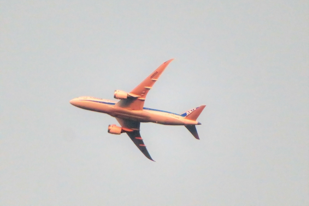 f:id:grk1:20210101203131j:plain