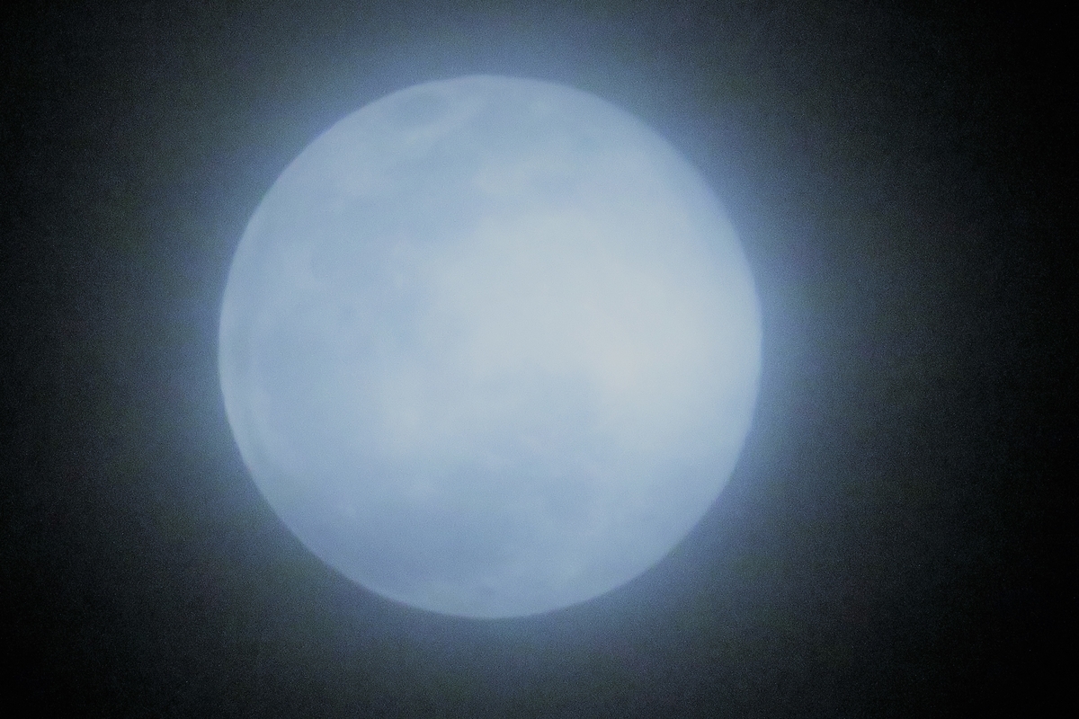 f:id:grk1:20210227211027j:plain