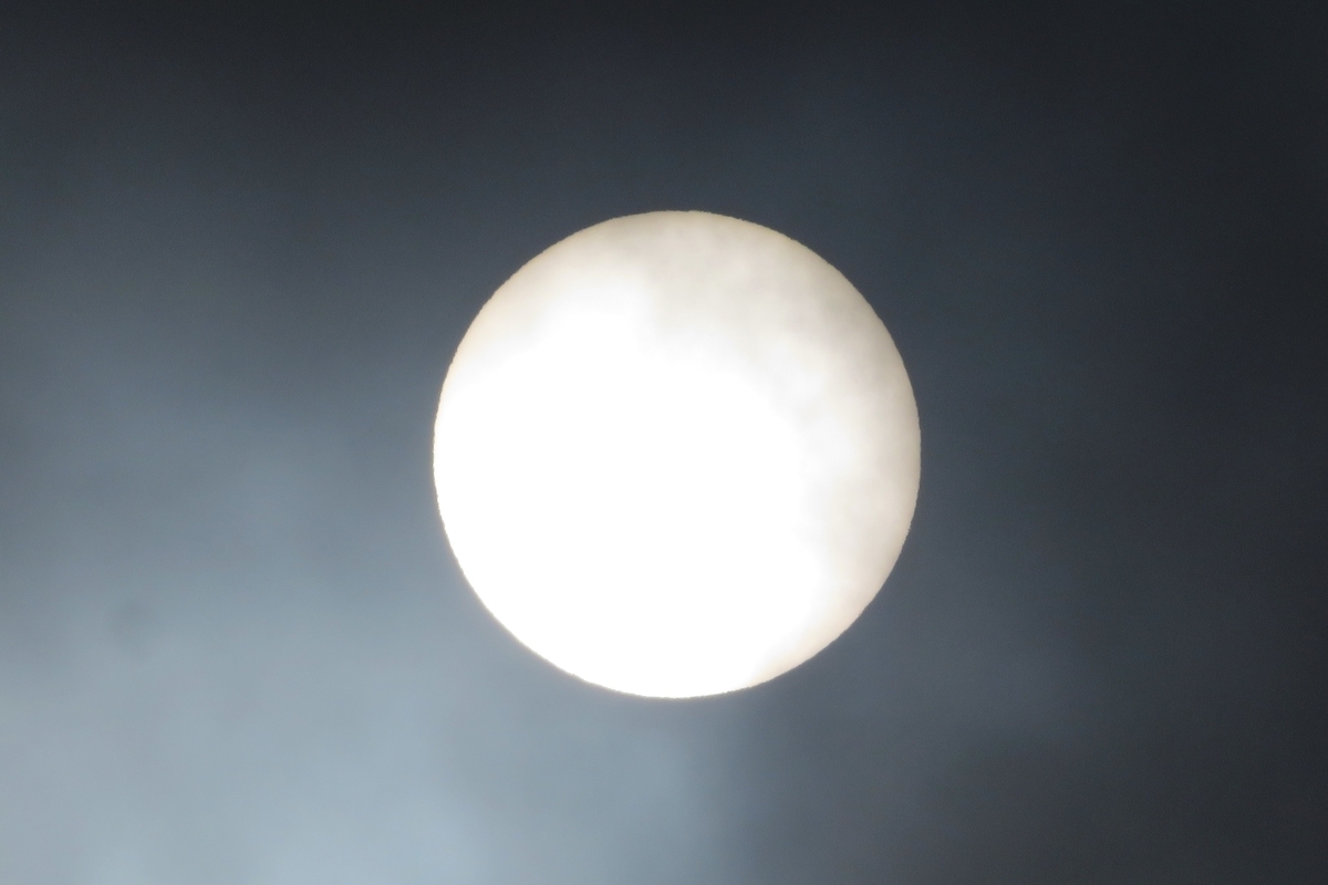 f:id:grk1:20210430201934j:plain