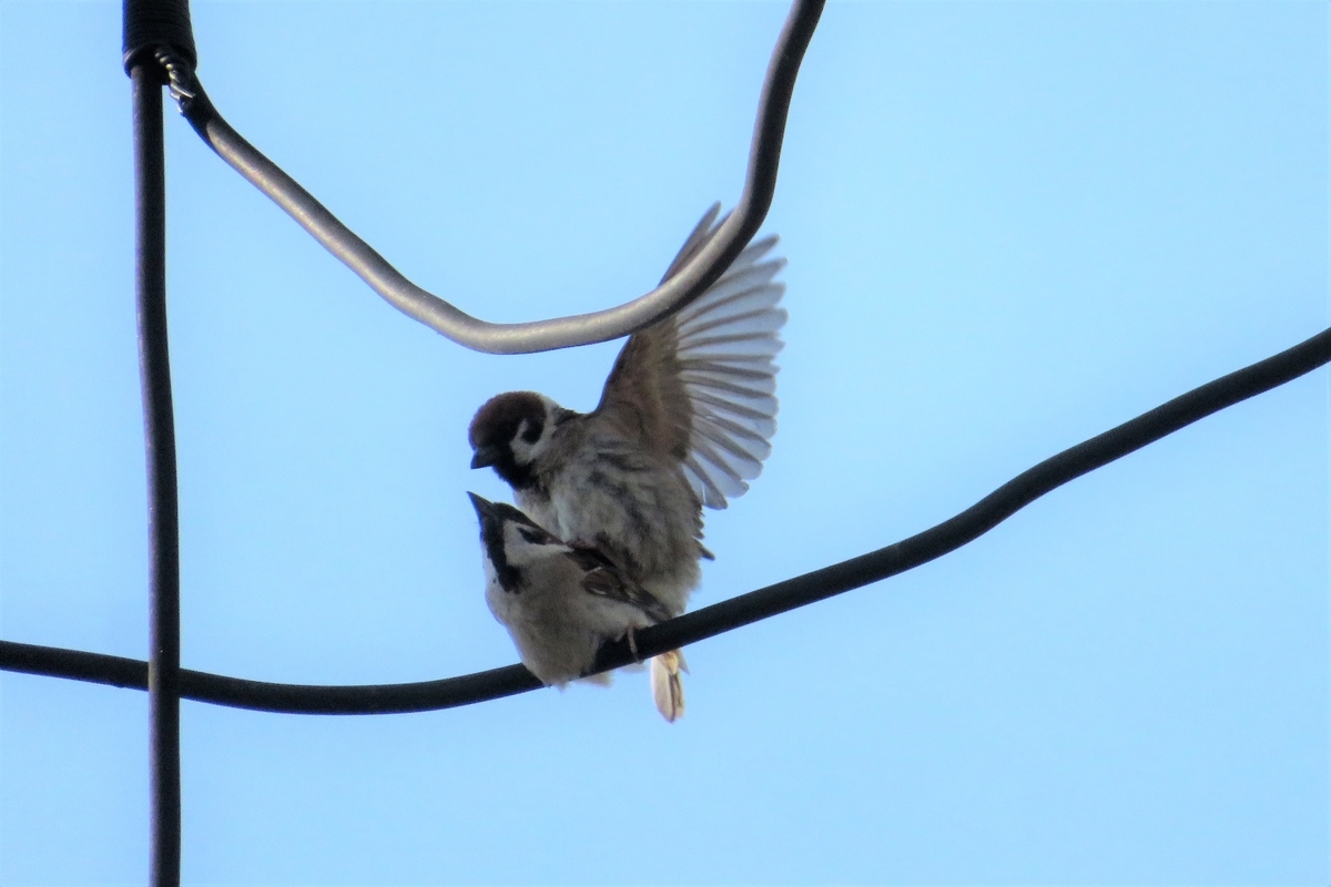 f:id:grk1:20210608211445j:plain