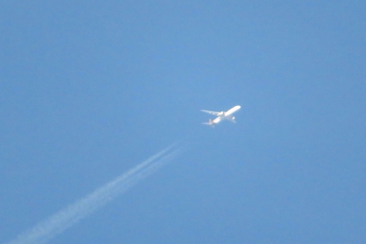 f:id:grk1:20210708195610j:plain