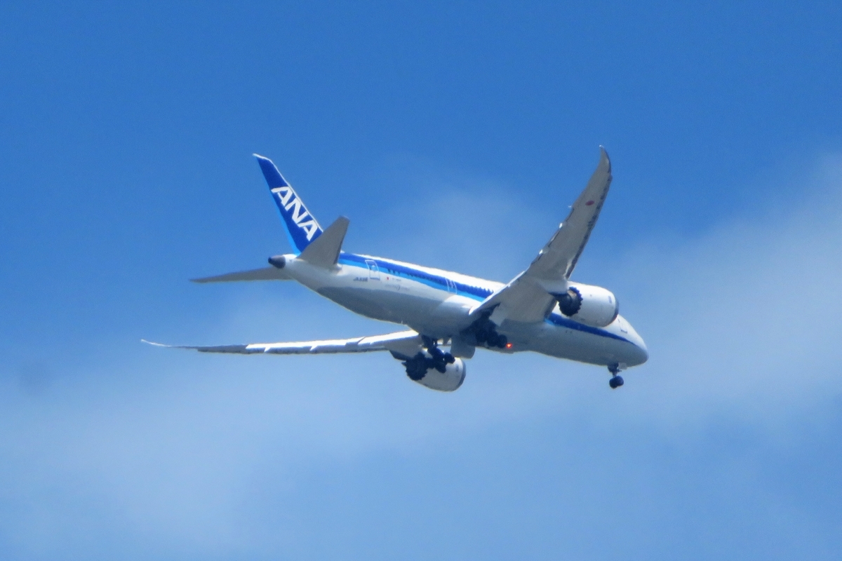 f:id:grk1:20210806225849j:plain