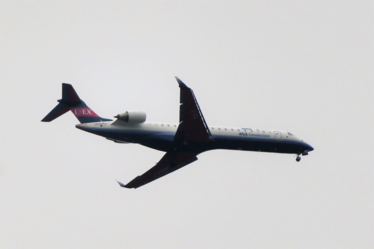 f:id:grk1:20210816200858j:plain