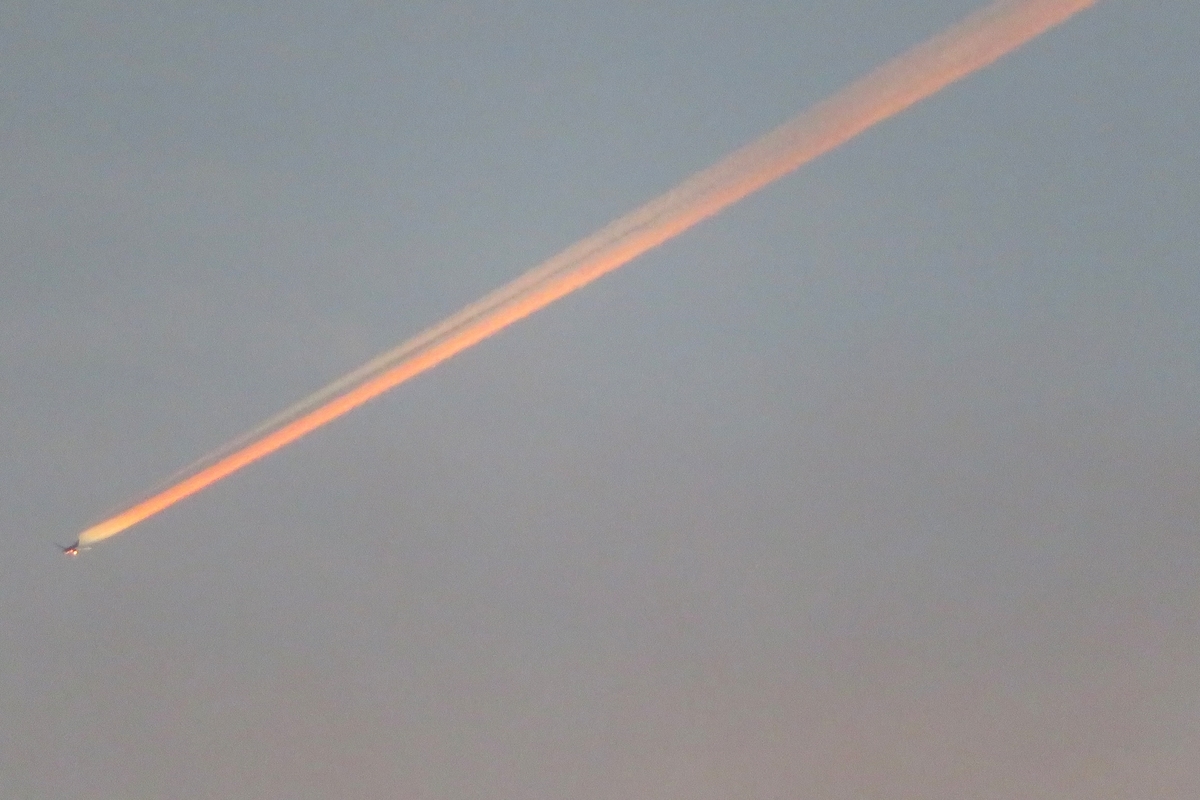 f:id:grk1:20210830203954j:plain