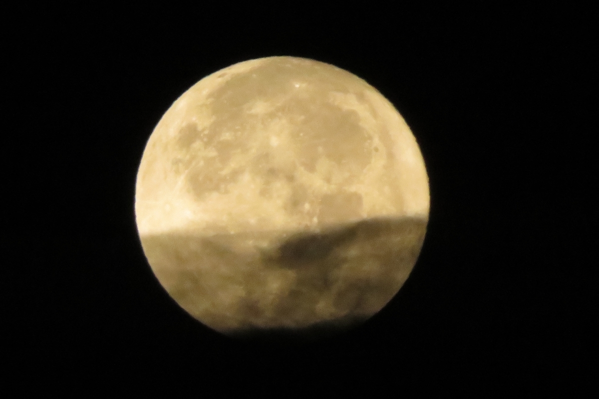 f:id:grk1:20210926111200j:plain