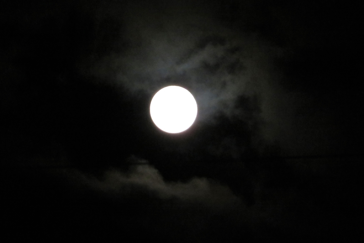 f:id:grk1:20210926111316j:plain