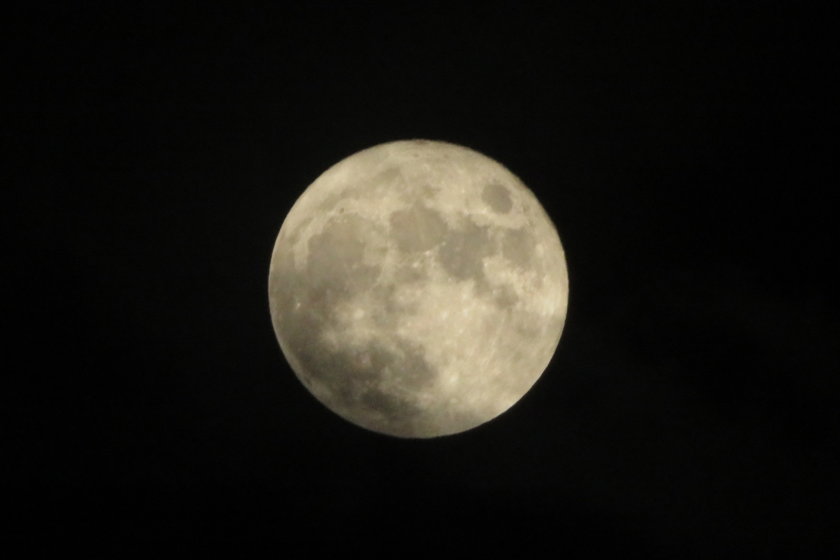 f:id:grk1:20210926111347j:plain