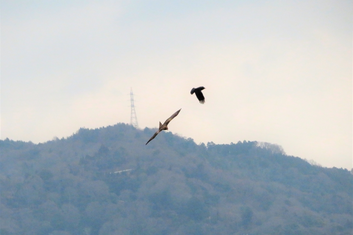 f:id:grk1:20220104183313j:plain