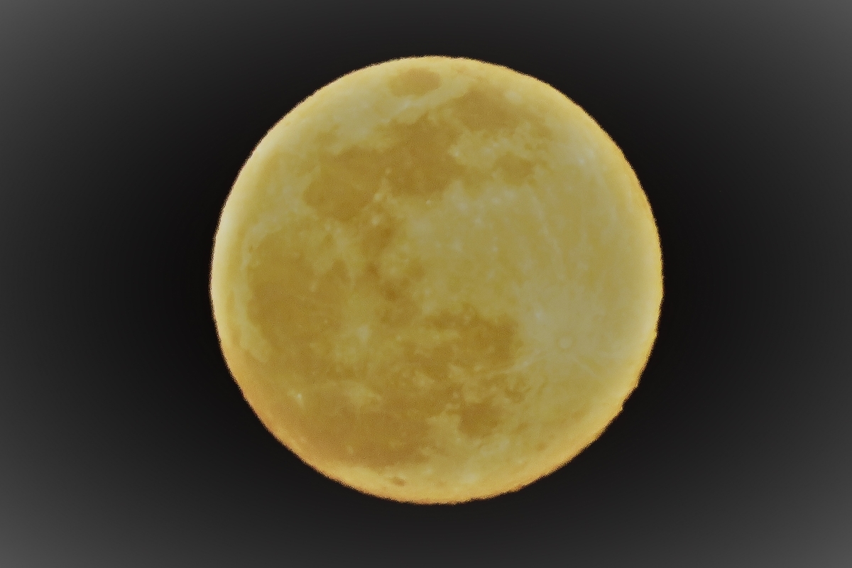f:id:grk1:20220121205332j:plain