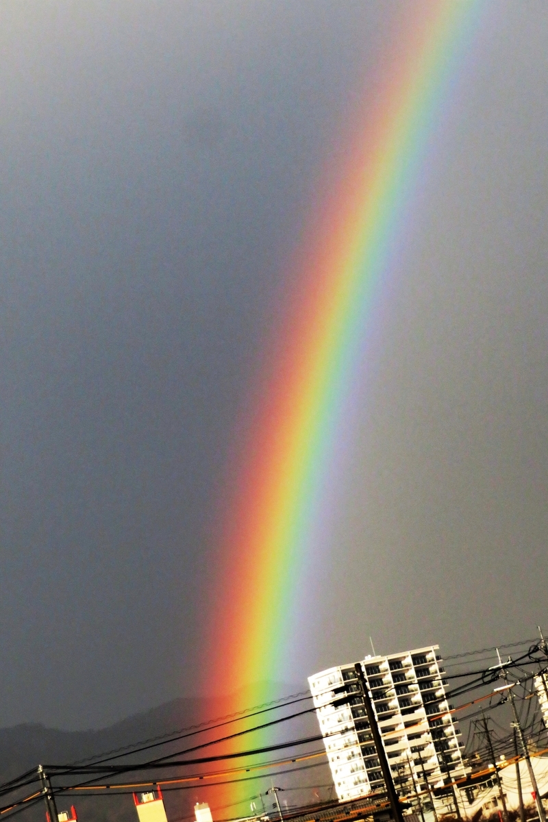 f:id:grk1:20220210183542j:plain