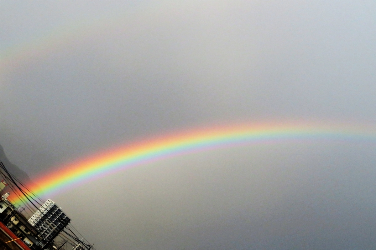 f:id:grk1:20220210183835j:plain